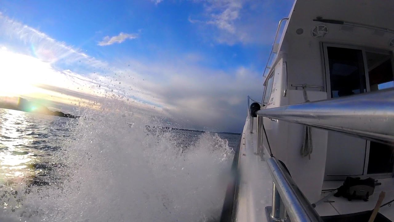 November b&aring;ttur i slow-mo med NB 870 Ardea