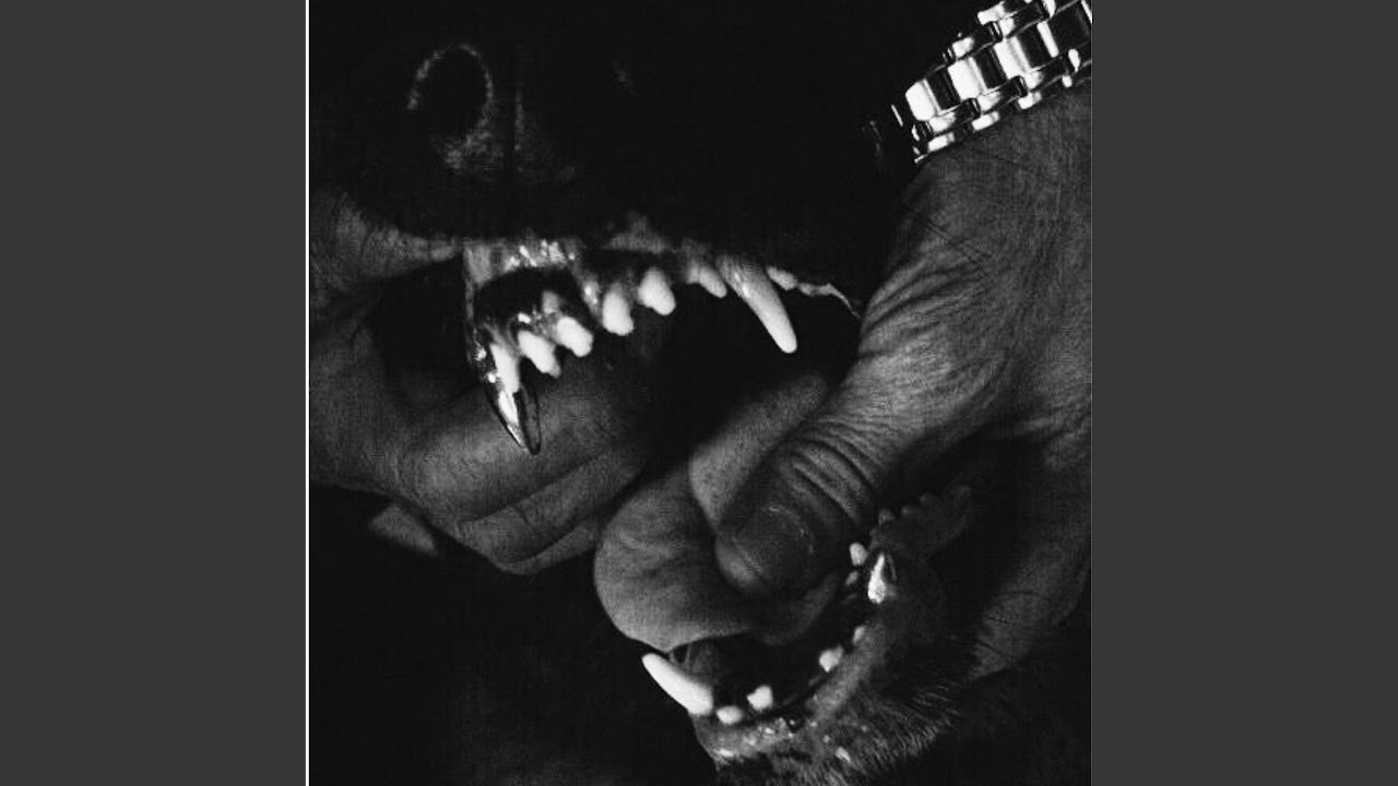 Rottweiler (Instrumental Slowed)