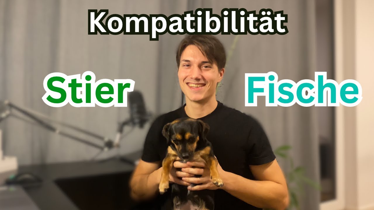 Wie passen Stier & Fische? | Kompatibilität, Astrologie, Beziehungen, Synastrie