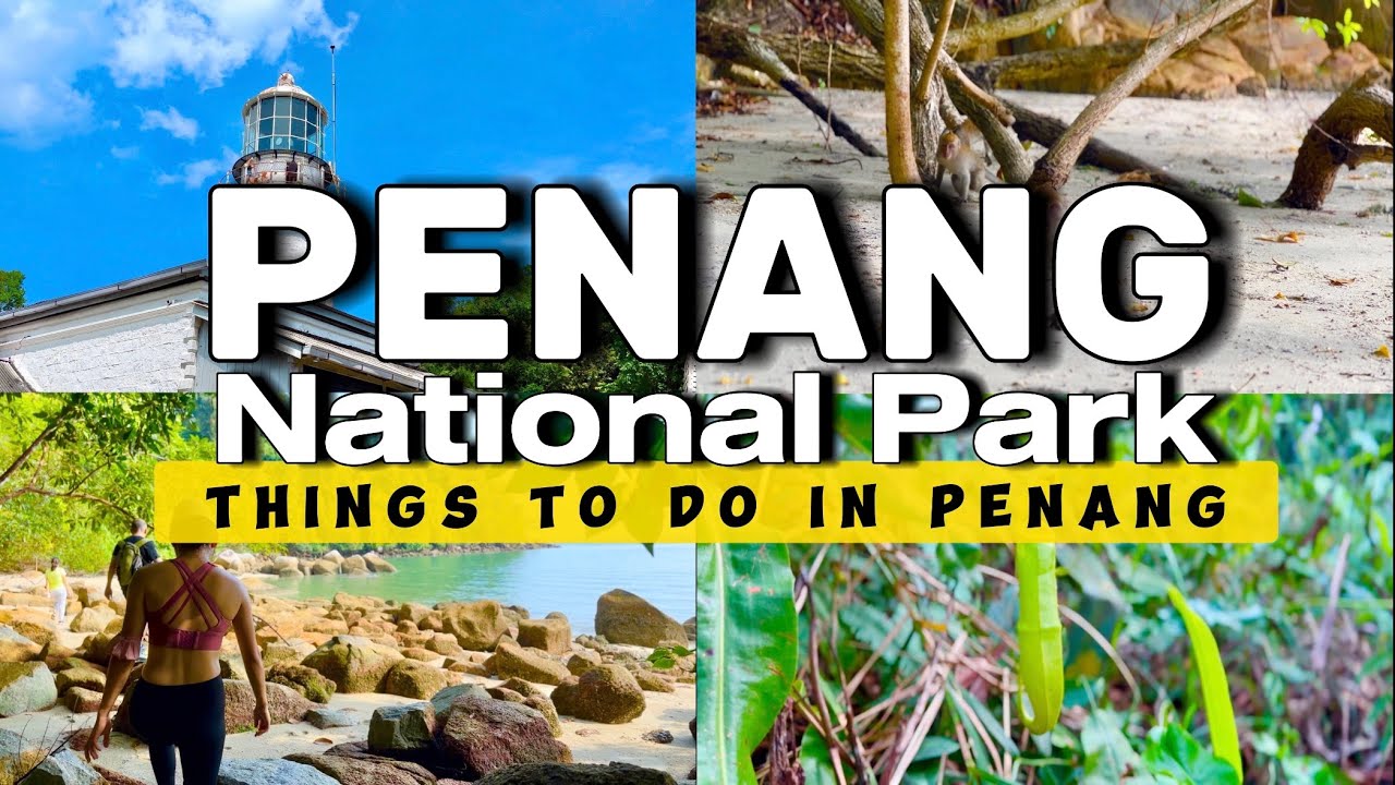 Penang National Park | Things to do in Penang | Malaysia