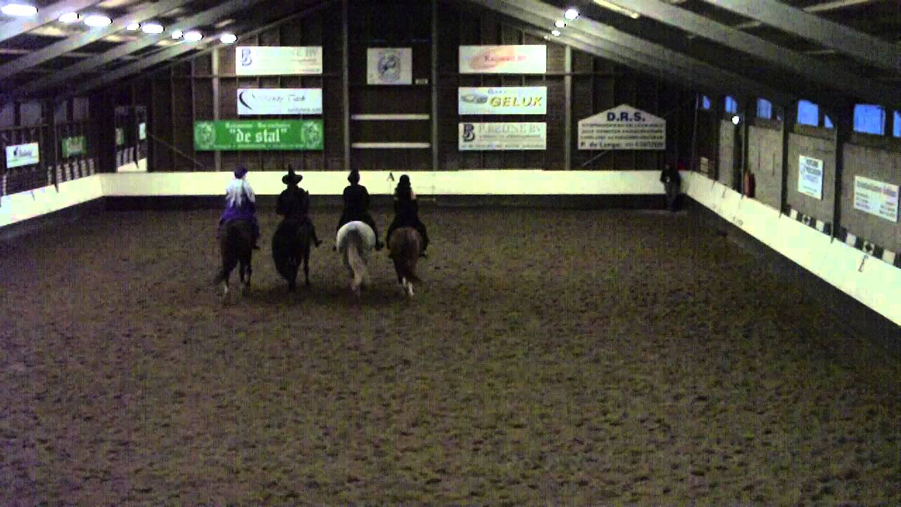 nieuwjaarsdemo Manege Spaarnwoude 1-1-2013.MOV