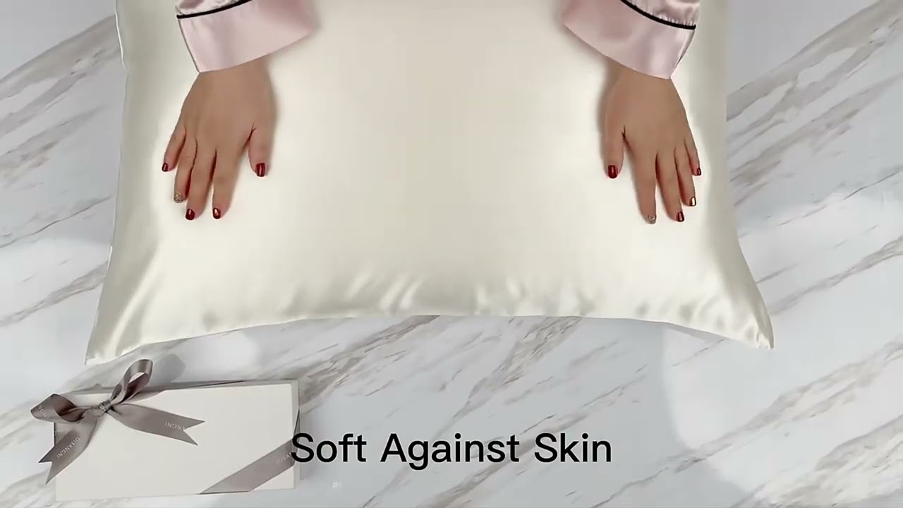 DISANGNI 22 Momme Taie d'oreiller 100 % soie de mûrier naturell