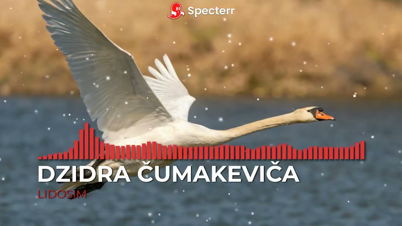 DZIDRA ČUMAKEVIČA - LIDOSIM