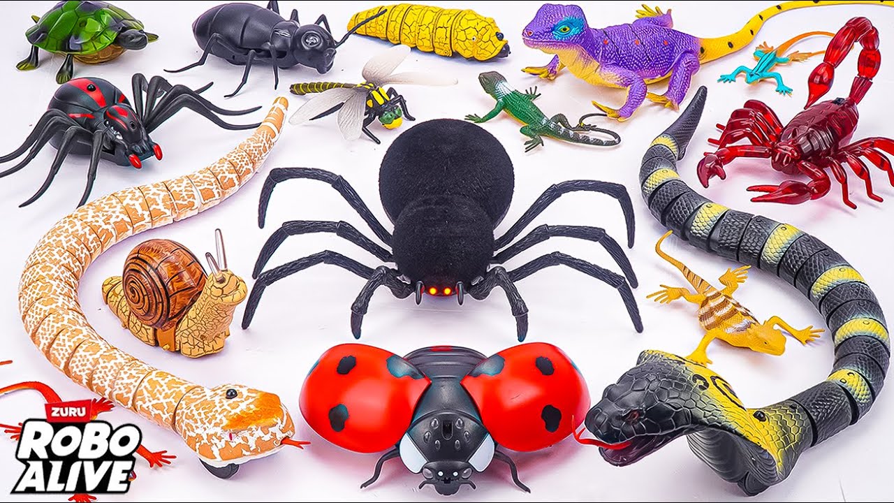 🐍toy asmr🐍 Remote Control Spider & RC Snake & RC Lady Bug & Robo Huge Bugs Toys 🌟 Unboxing Toys ASMR