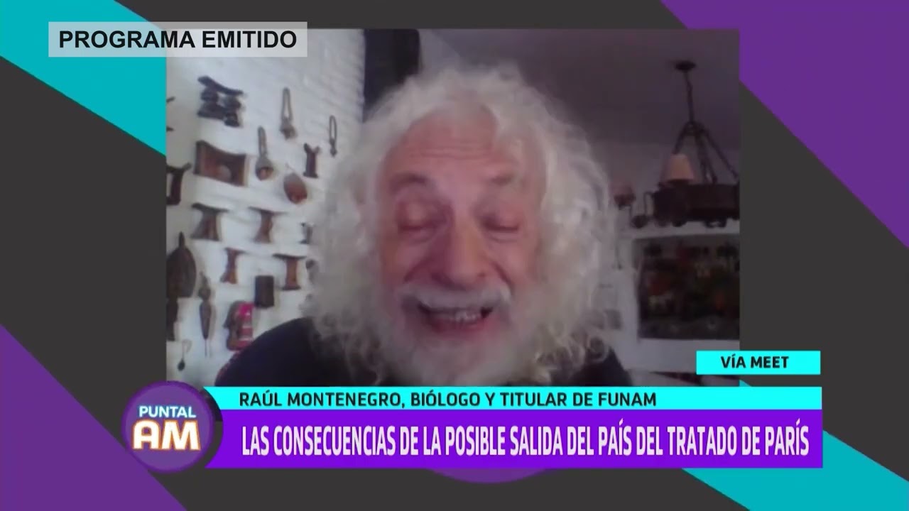 Resumen PUNTAL AM 2025