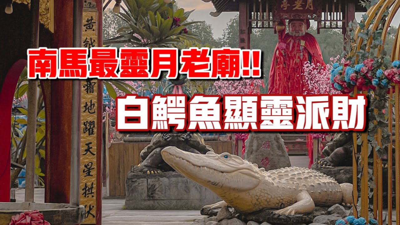 南馬最靈月老廟！！單身人士的脫單聖地！！伯公白鰐魚顯靈派財！！｜【信仰Vlog】#76