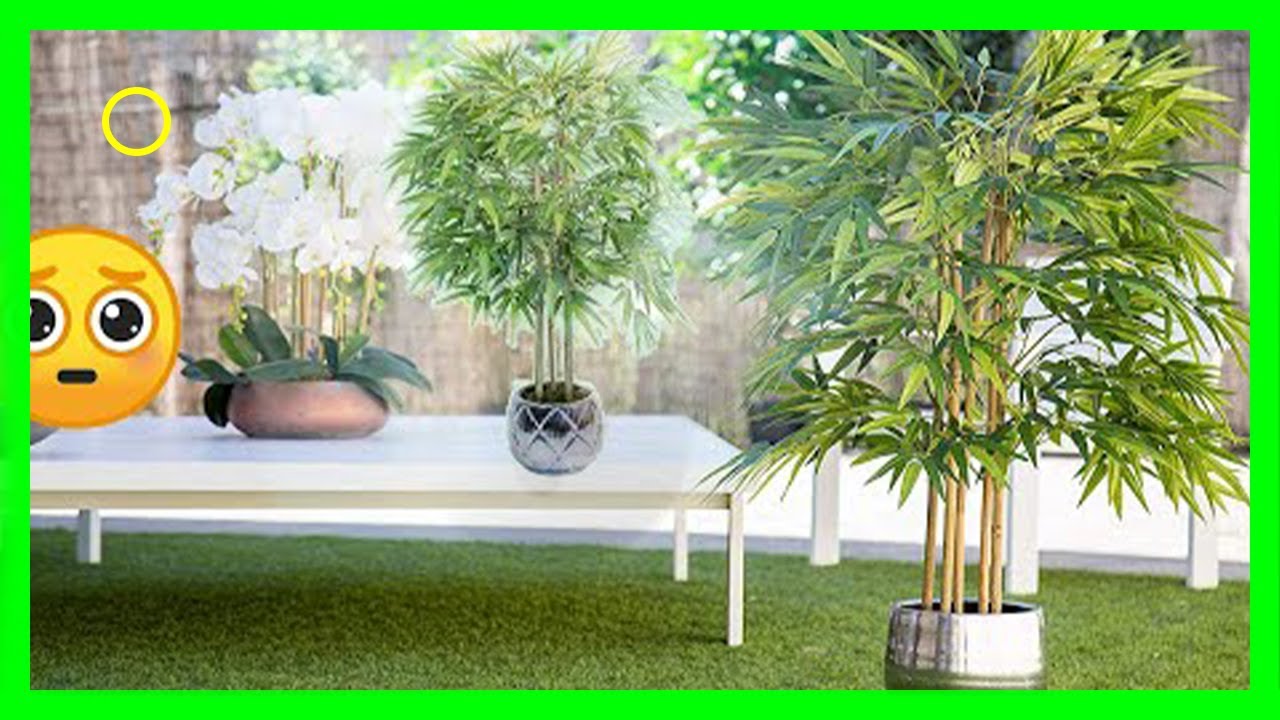4 MEJORES MACETEROS PARA TU HOGAR [¡CUIDA TU PLANTA !🥀]2020
