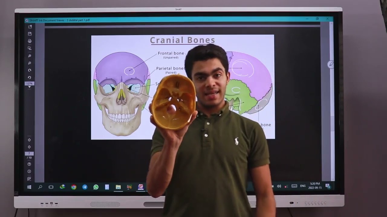 General anatomy | 6- Bone part 1