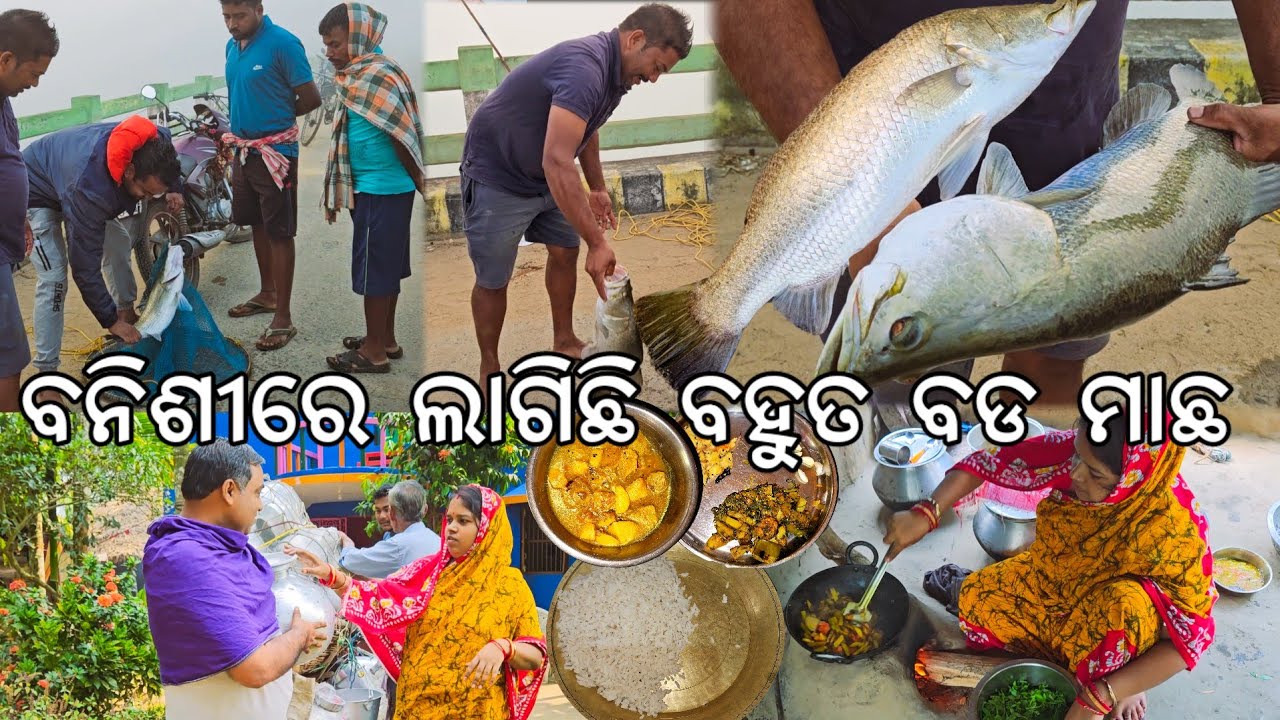 ବନିଶୀରେ ଲାଗିଛି ବହୁତ ବଡ ମାଛ କେତେ ଟଙ୍କା ହେବ l ଗାଁରେ କିଣା ବିକା l Gouranga Nayak Odia Vlogs