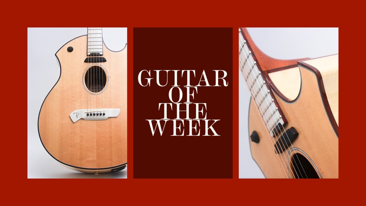 GUITAR OF THE WEEK! PARKER USA Electro Acoustic P10EN?! - Squealing Pig Guitars |WEEK 3|