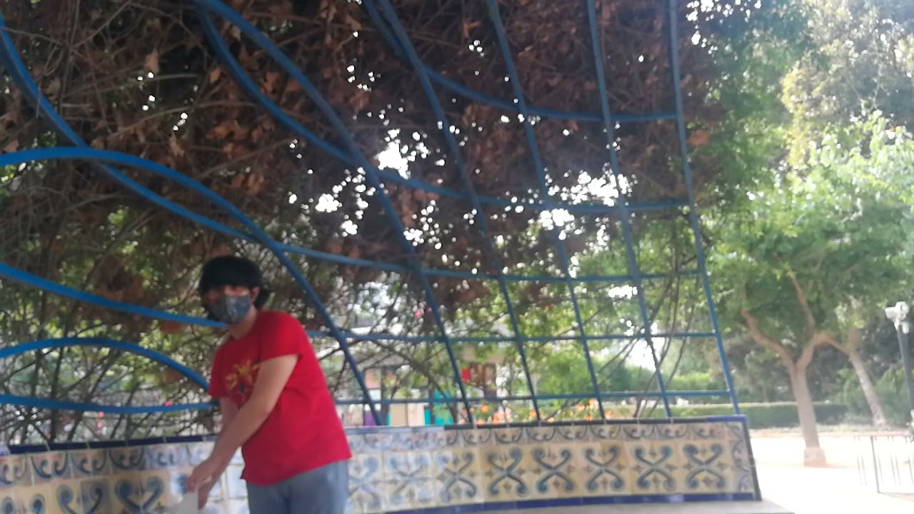 Park - El Plexpero 