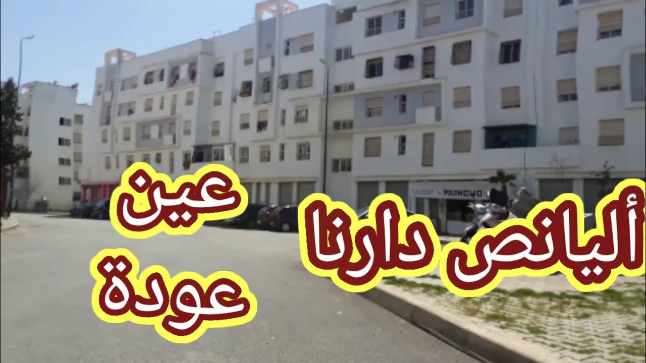 أليانص دارنا عين عودة