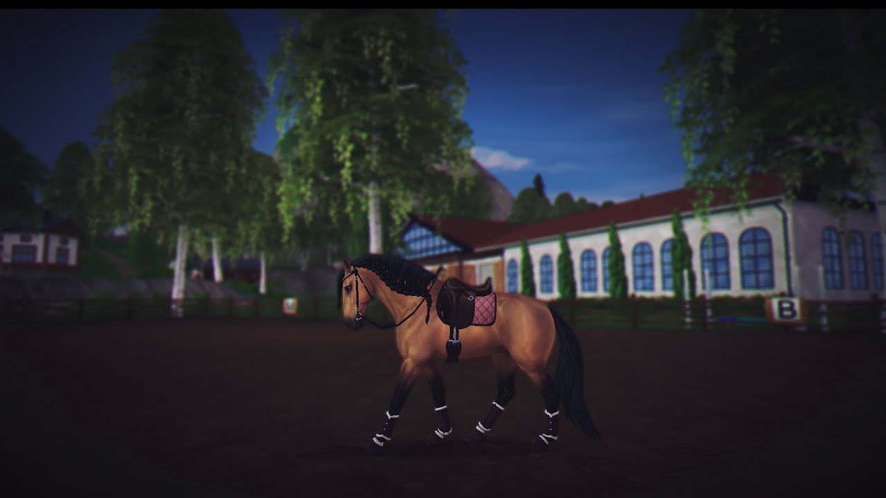 TRENUJEMY NOCĄ! || KROPELKA #starstableonline #starstable #sso #konie