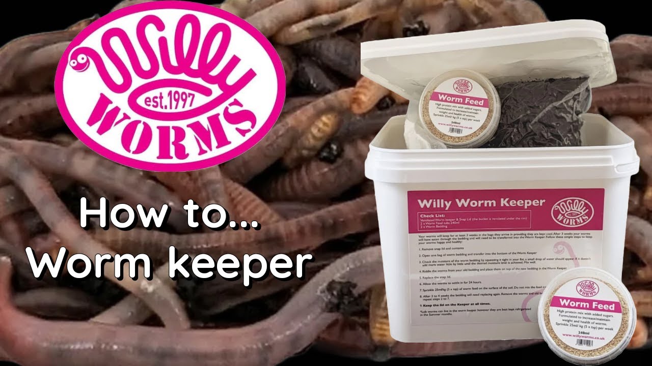 Как же... держатель червяка willy!! ловля карпа. Поймайте кучу БОЛЬШИХ карпов и сэкономьте деньги.