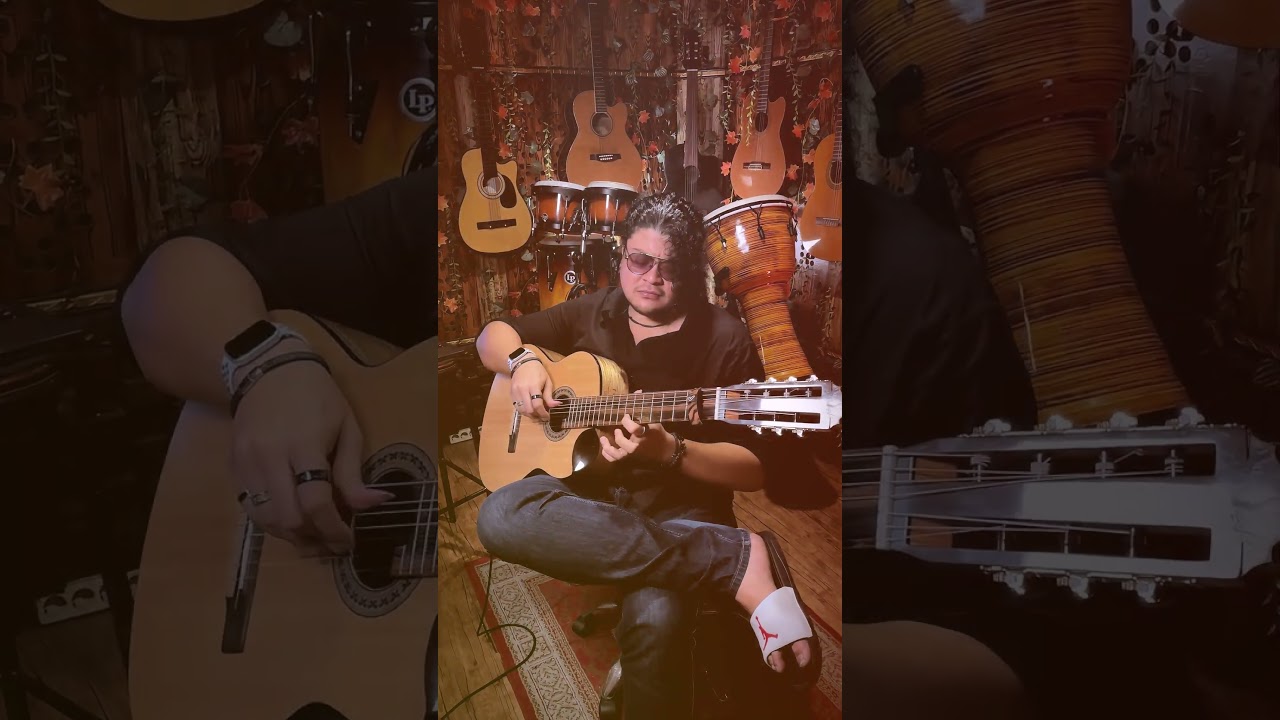 The Lonely Shepherd #shorts #thelonelyshepherd #andr&eacute;rieu #leorojas #gheorghezamfir  #guitarcover