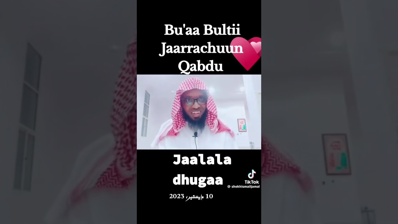 25 February 2026