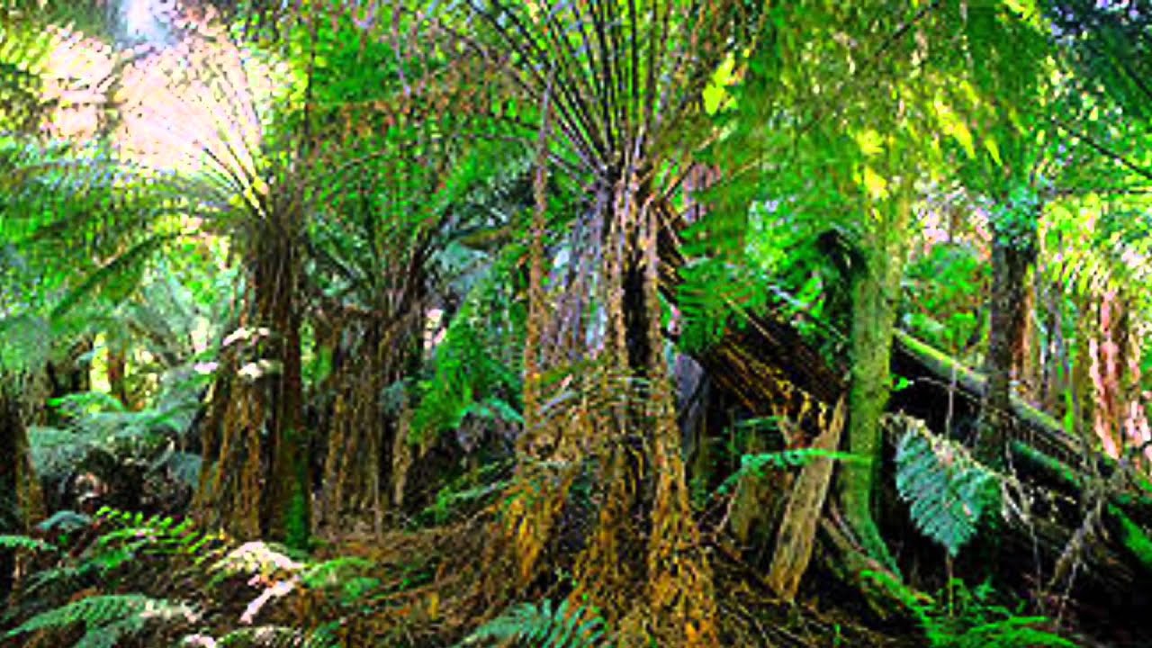 More than 10 things to do around Yarragon and Darnum