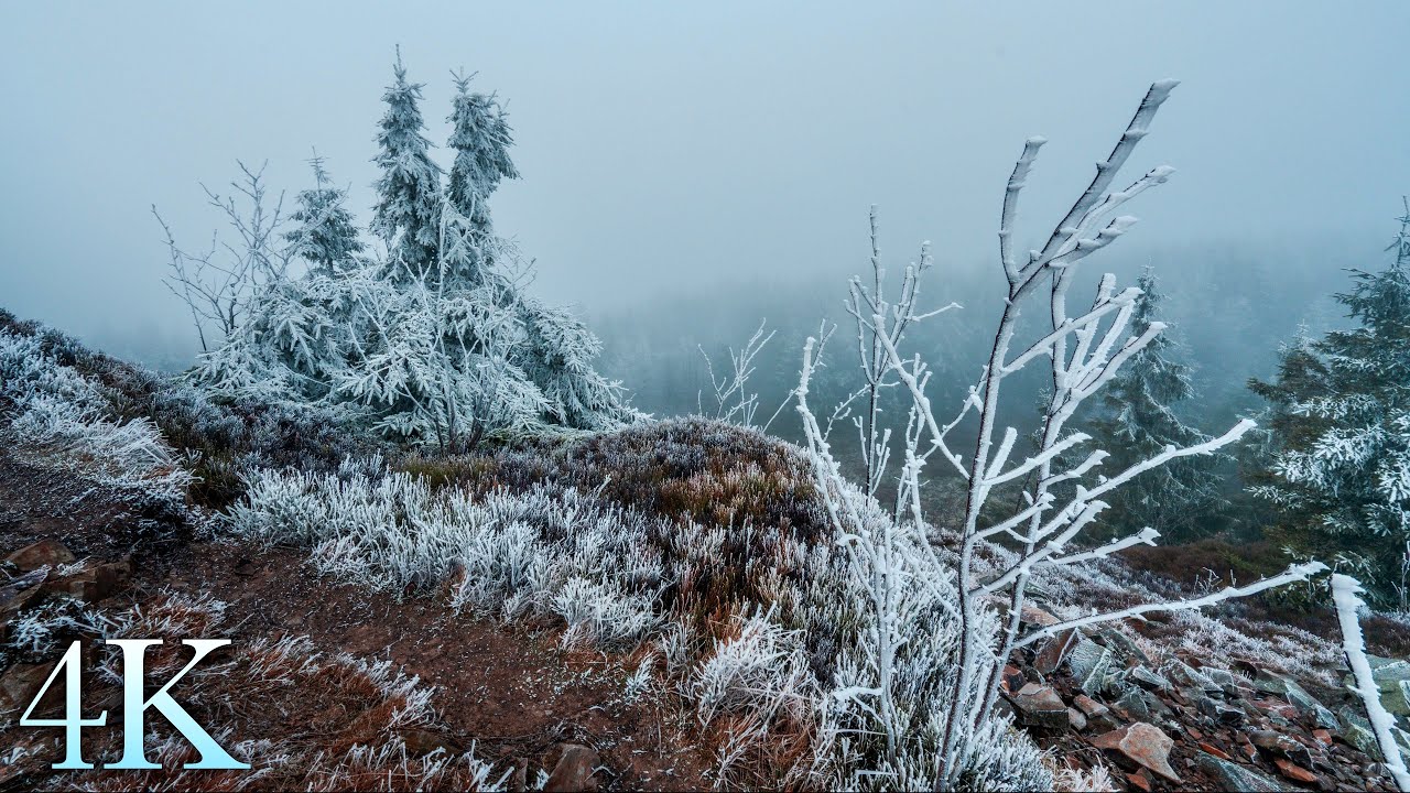 Icy Hike to Wolfswarte in the Harz Mountains ❄️ Frosty Winter Landscape, Harz Ambience 4K