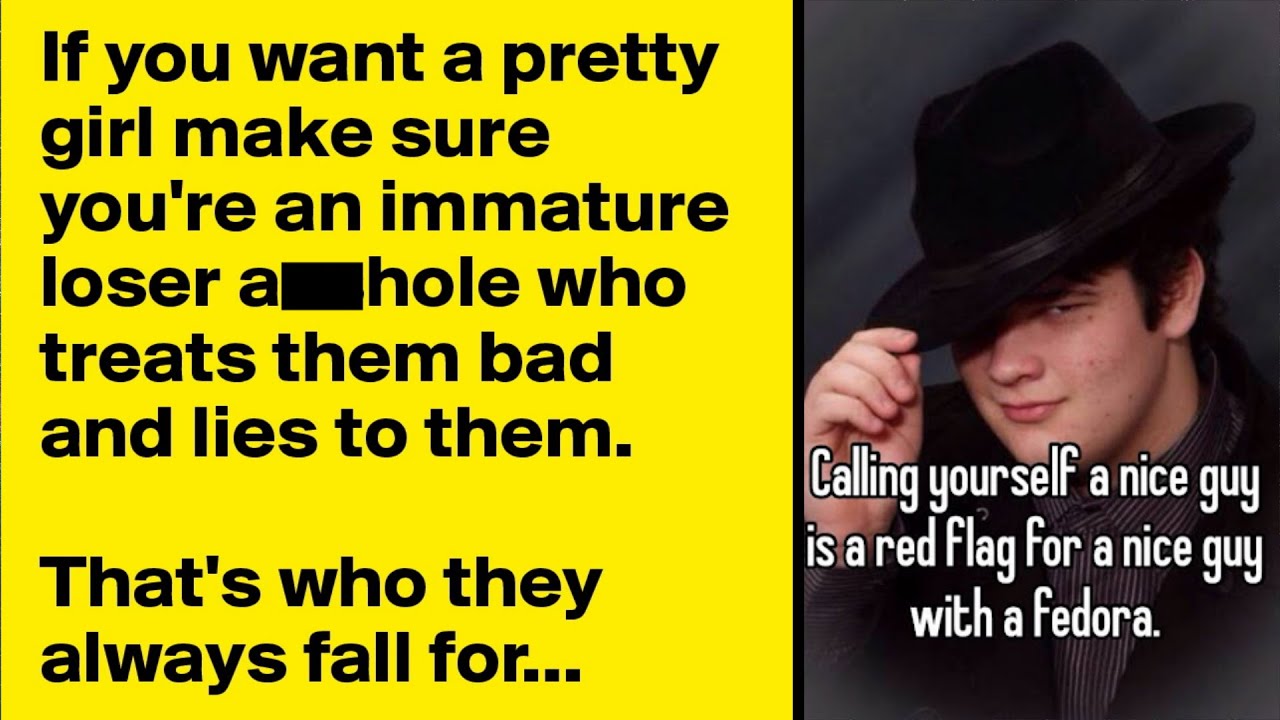 r/NiceGuys ~ That's Who They ALWAYS Fall For...