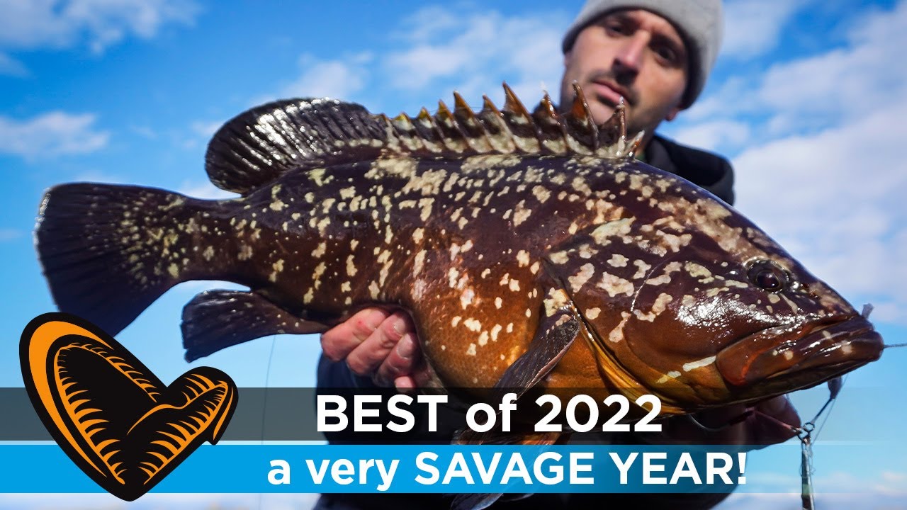 Un anno di pesca  
