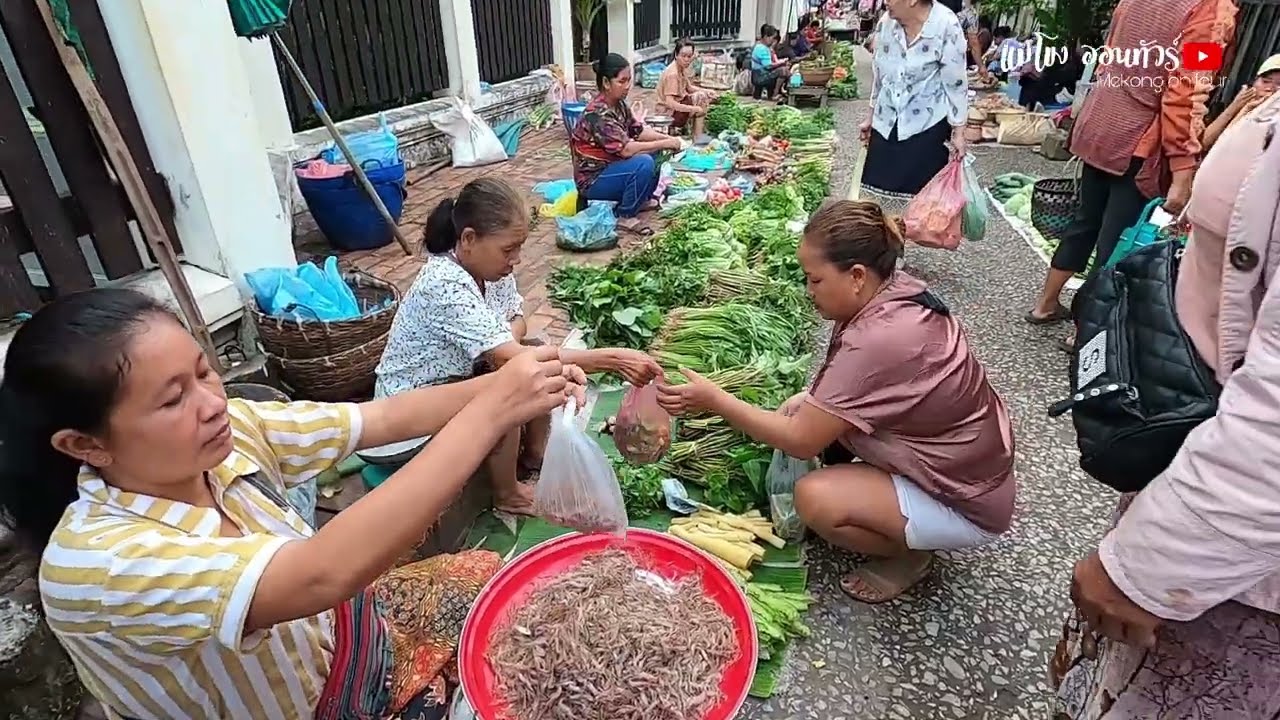 อาหารเช้าในตลาดหลวงพระบาง สปป.ลาว ปิ้งปลา ข้าวปุ้นเครื่องใน