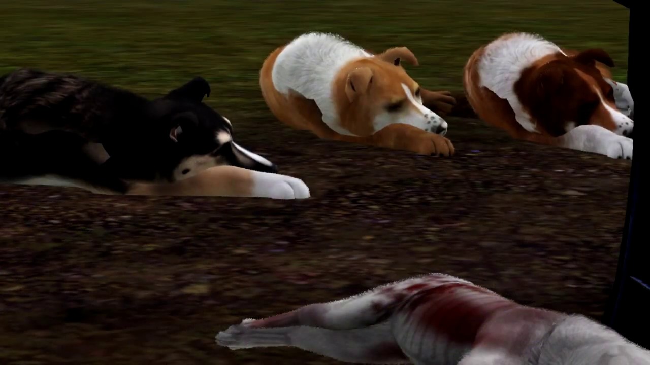 Copy of Abandoned Hope~ Episode 3