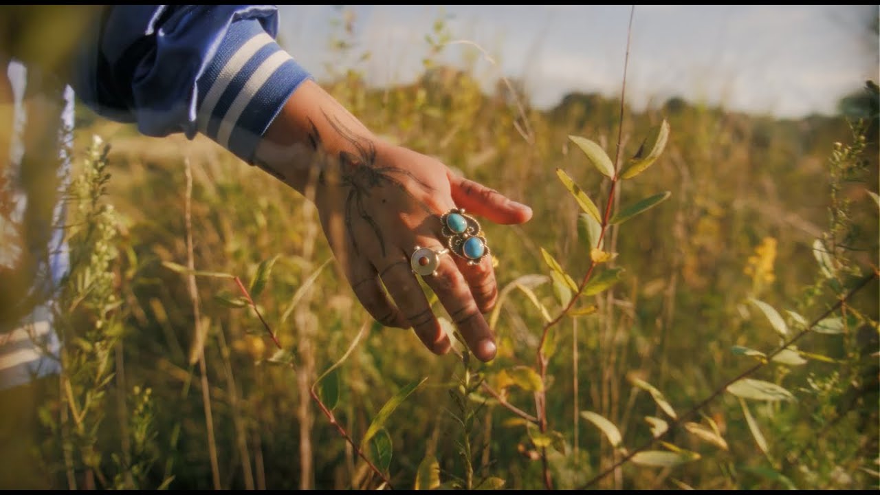 KALYN FAY - More - (Official Video)