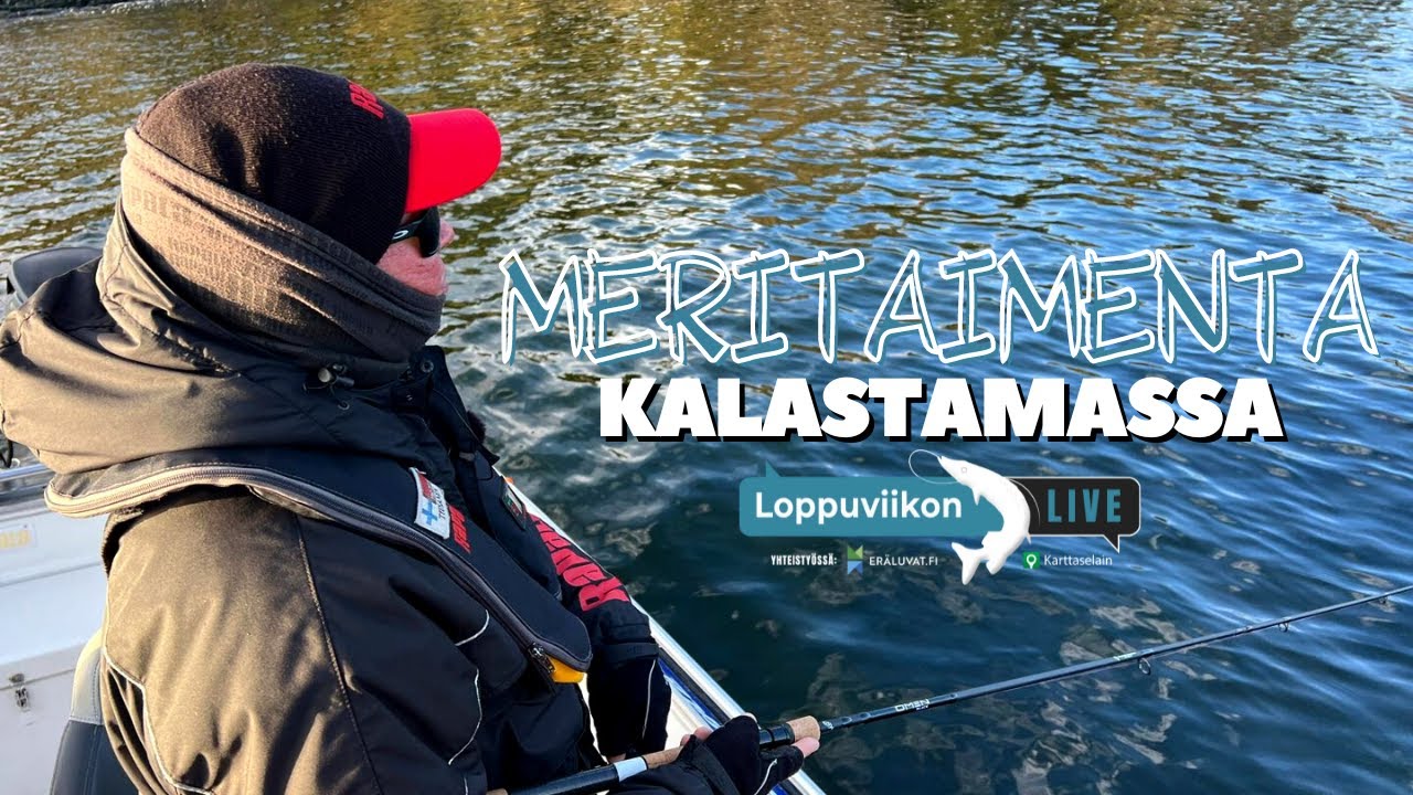Meritaimenen heittokalastus ⎮ Loppuviikon LivE