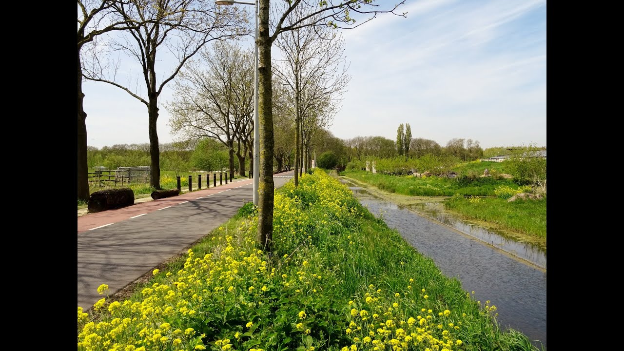 Struinen door de Tuinen van West / Amsterdam Nieuw-West