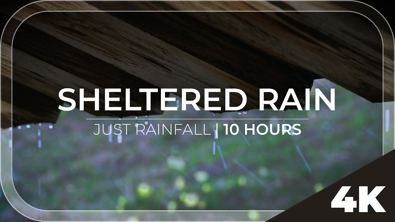 Sheltered Rain | 10 Hours of rain under a wooden roof