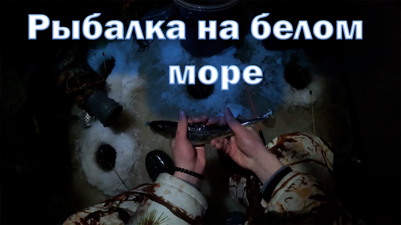 Рыбалка на белом море! Ловим навагу на скумбрию! (декабрь 2025)