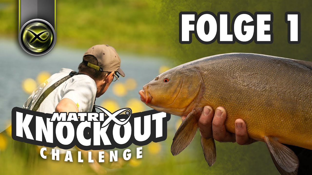 Fetter Ausnahmefisch! Matrix Knockout Challenge #1