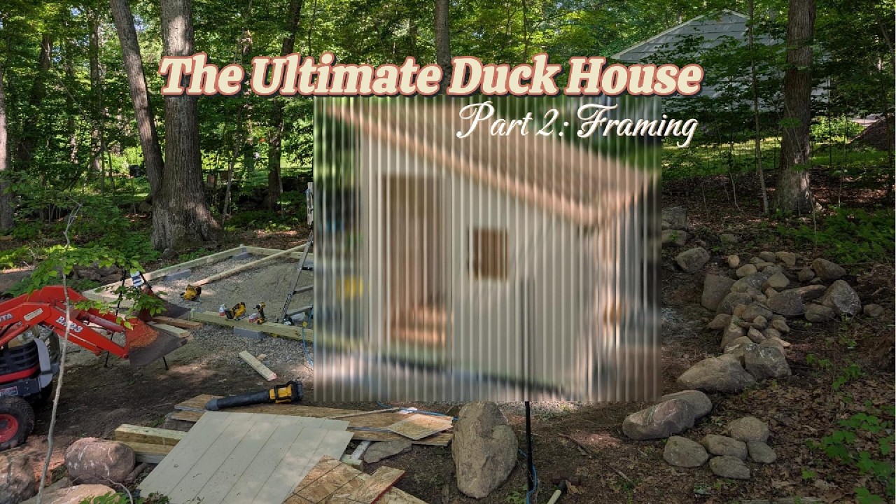 The Ultimate Duck House, Part 2: Framing