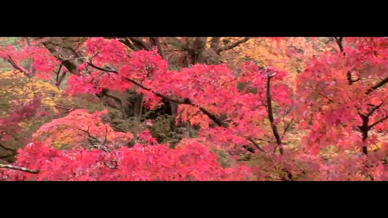 Kristian Larsen - Modern Motion