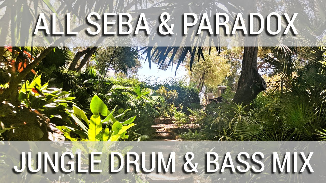 ► Jungle Drum & Bass - All Seba & Paradox Mix