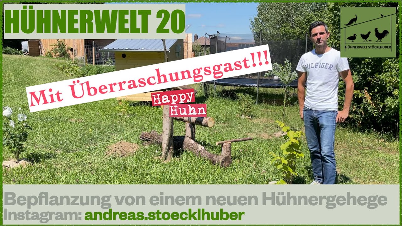 Hühnerwelt 20 Pflanzen Tipps für den Hühnergarten und das Hühnergehege mit Überraschungsgast 07/2021