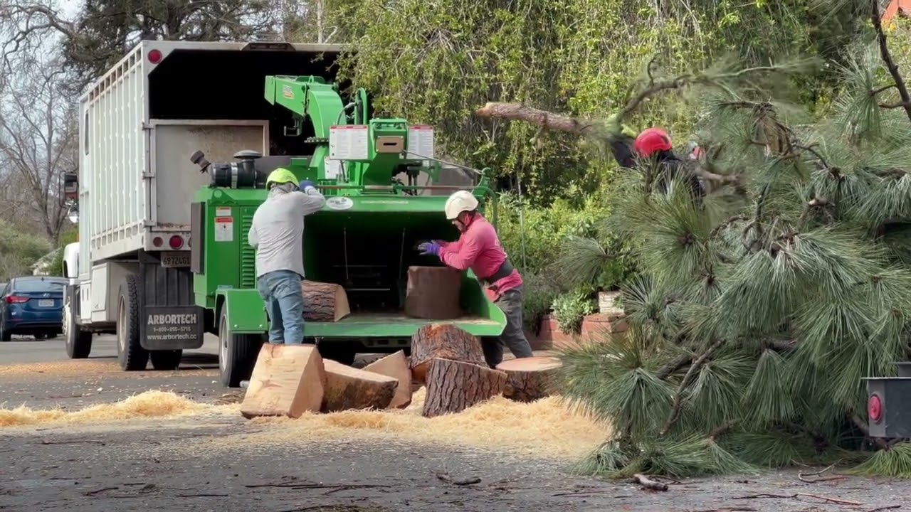 Wood Chipping 2