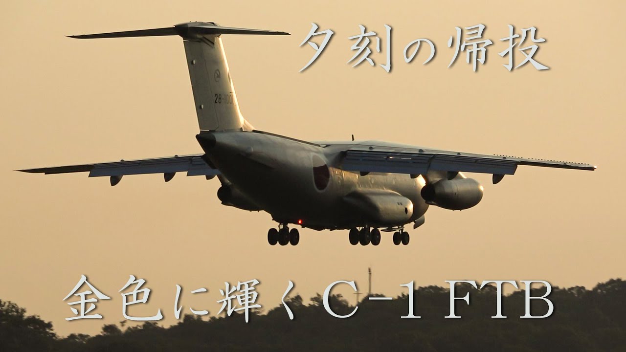 【 金色に輝く黄昏時のC-1 FTB 】  入間基地航空祭支援から帰投　岐阜基地  2024/11/3