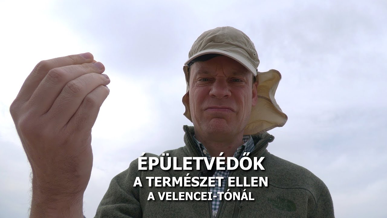 ÉPÜLETVÉDŐK a természet ellen a Velencei-tónál