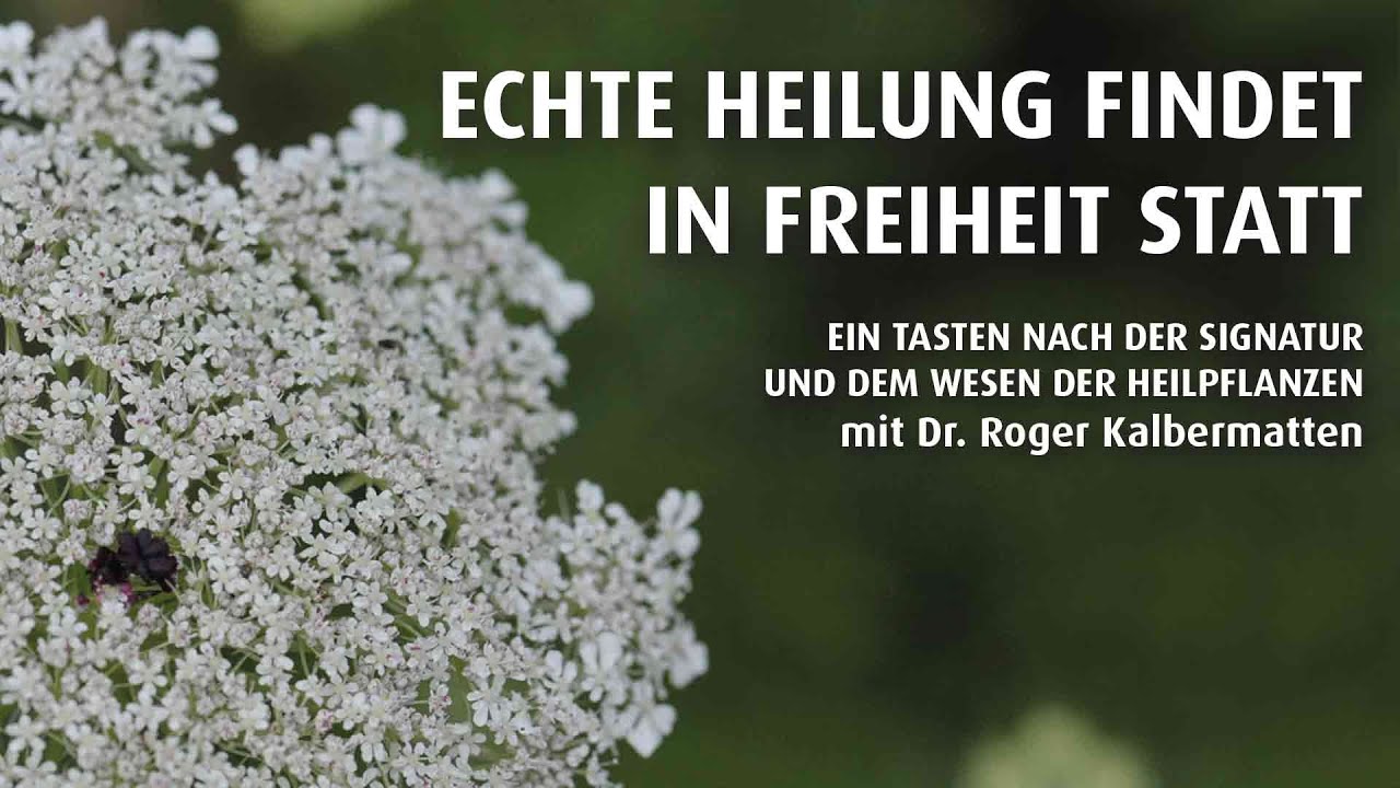 Ganzer Film ECHTE HEILUNG FINDET IN FREIHEIT STATT // Deutsch,  Full HD