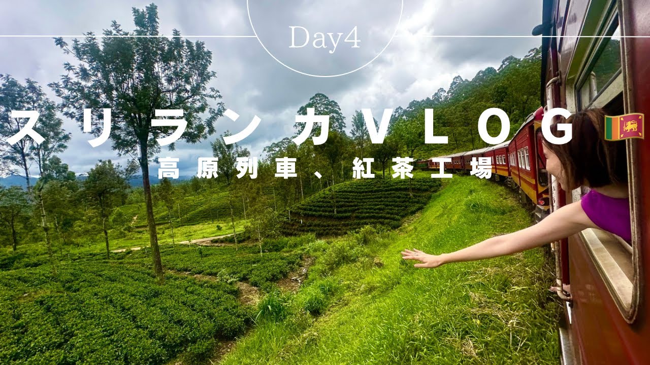 【スリランカ🇱🇰Vlog4】高原列車、紅茶工場🫖