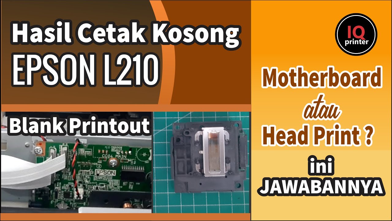 HASIL CETAK TIDAK KELUAR TINTA EPSON L210 || BLANK PRINTOUT EPSON L210