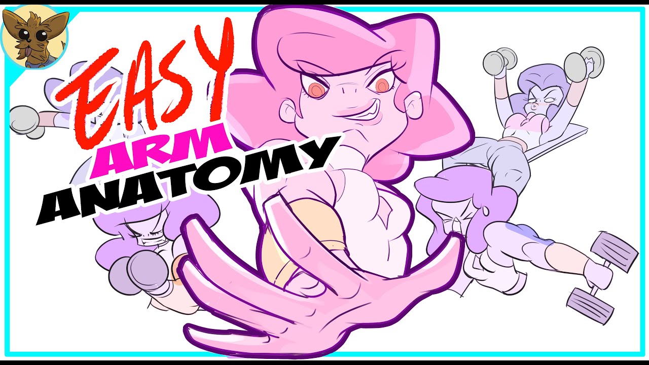 Arms Anatomy - Simple Groupings (1/2)