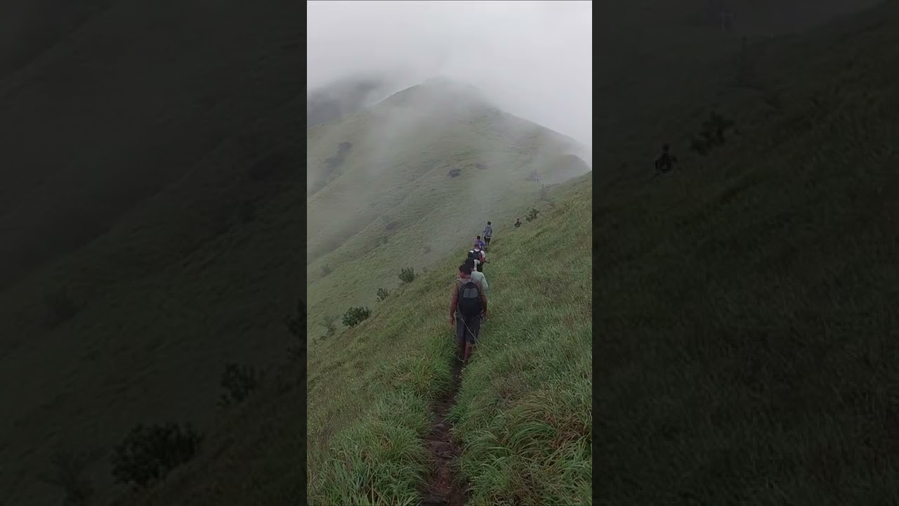 Kumara Parvata Trek | 25-28 Km Trek | Altitude of 1700 mts | Trekking Adventure in Western Ghats