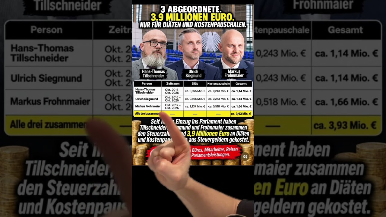 AfD Gehalt ‼️ #afd #bundestag #cdu #politik #nachrichten #spd #aktuell