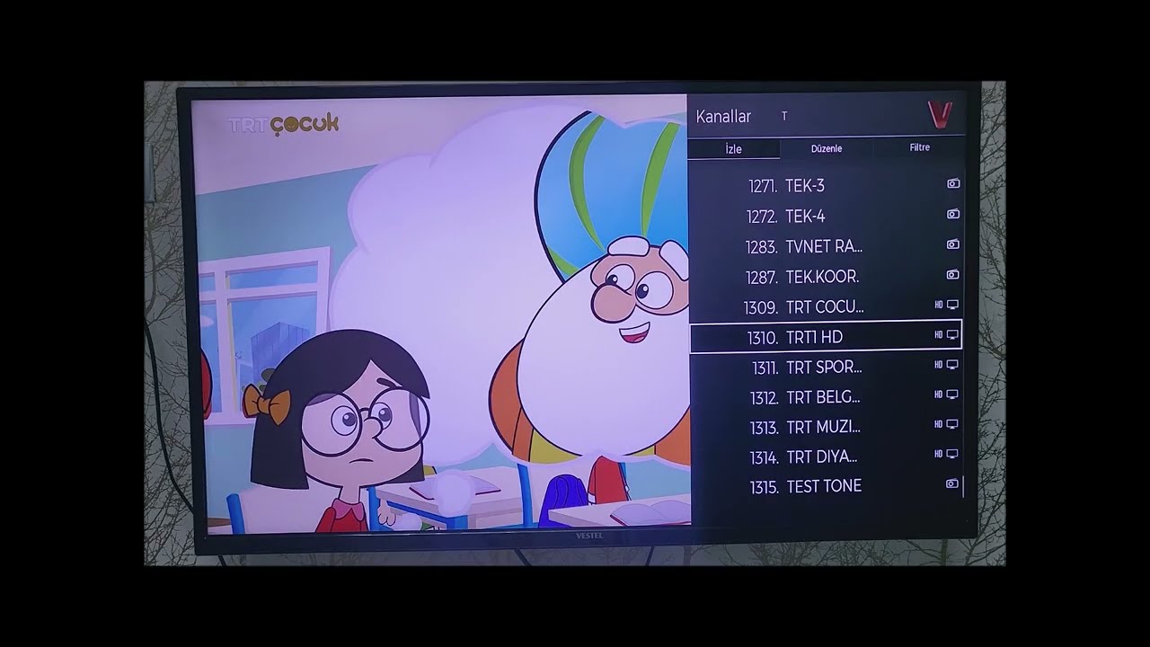 vestel TV manuel kanal arama trt 1 hd trt spor frekans ayarlama 2024
