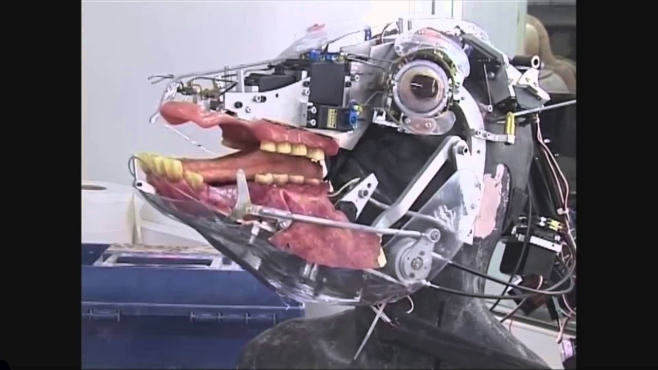 Spooky Scary Animatronics & Endoskeletons