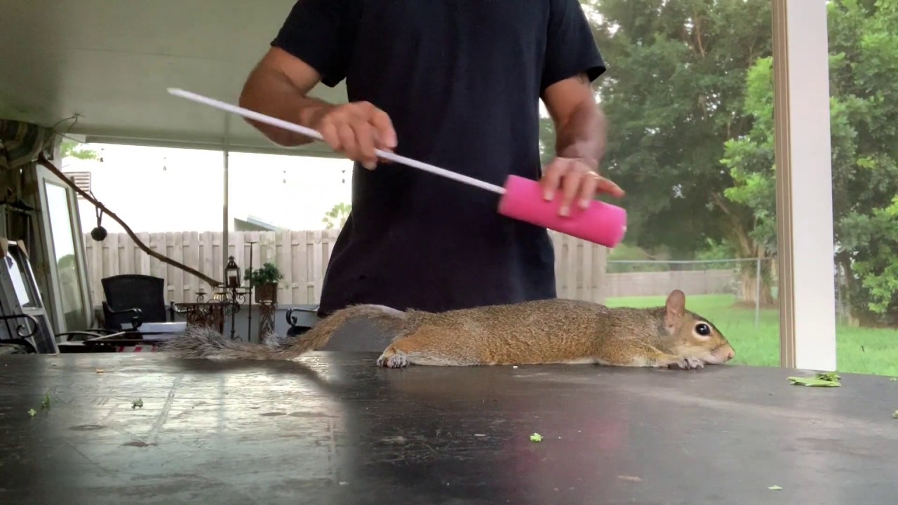 FULL VIDEO!!! 