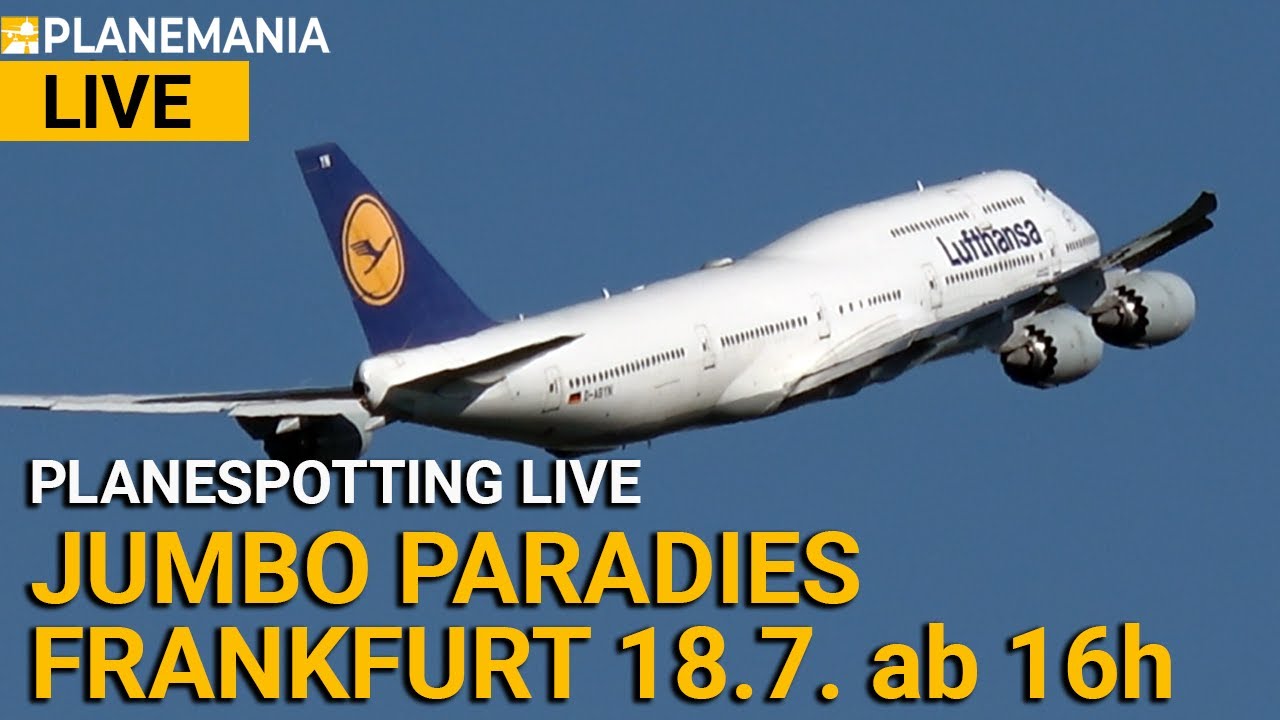 ✈️ Planespotting LIVE: Willkommen im Jumbo-Paradies Frankfurt