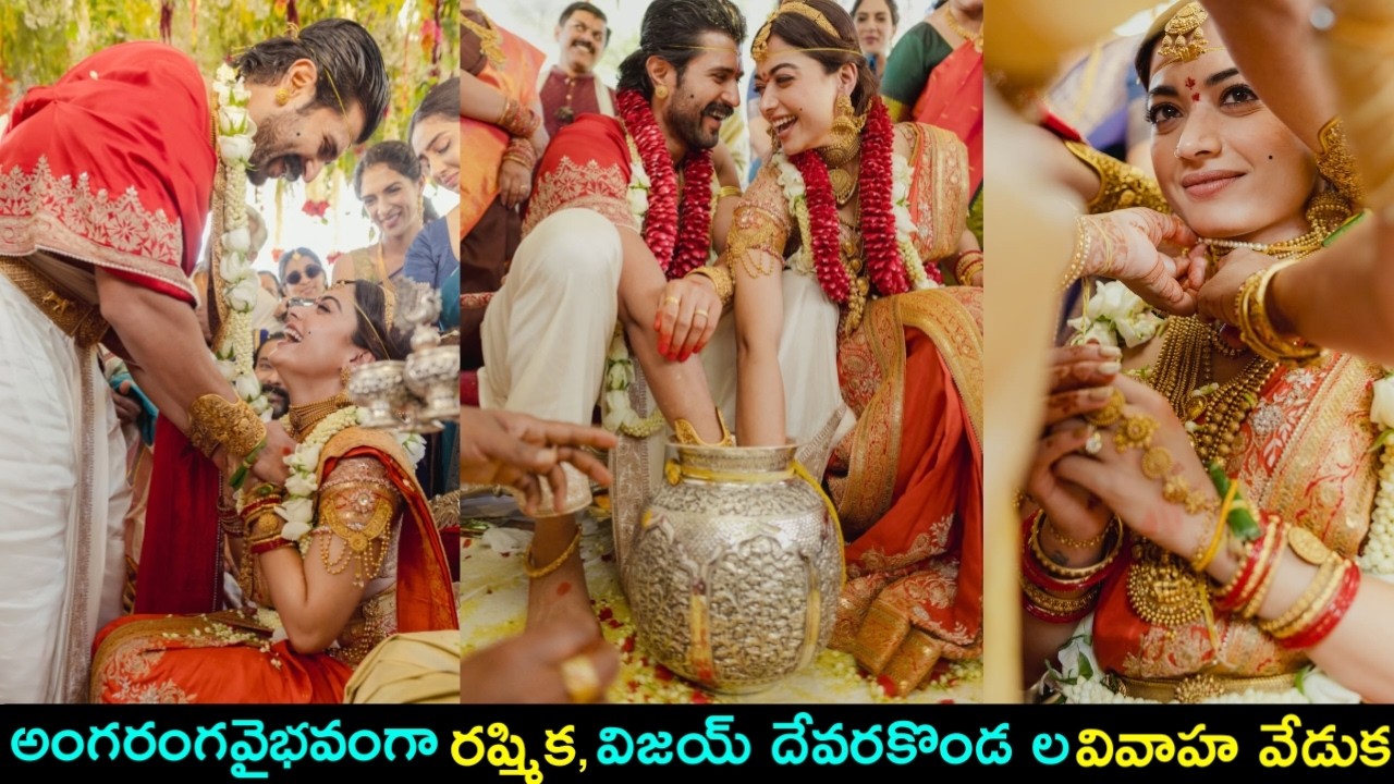 Rashmika,Vijay devarakonda Wedding Photos and Videos Viral | విజయ్, రష్మిక ల పెళ్ళి వేడుక || MS NEWS